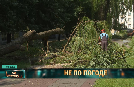 Последствия страшного урагана в Могилевской области устраняют всей страной – сюжет ОНТ