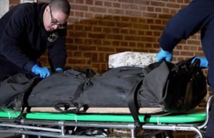 4-летняя девочка две недели жила с трупами матери и брата и питалась только шоколадом