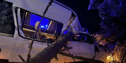 В Вилейском районе маршрутка съехала в кювет после столкновения с деревом
