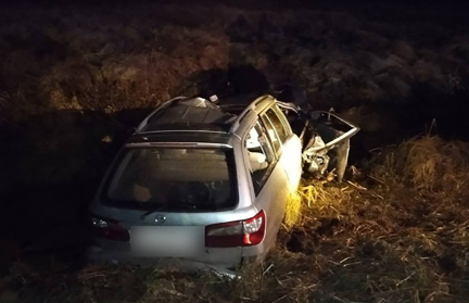 В Буда‑Кошелевском районе ДТП с лосем унесло жизни двух человек