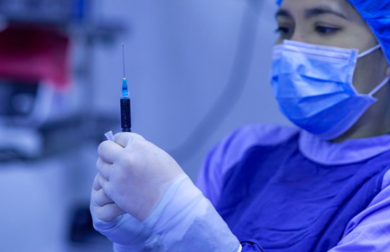 Трех амурских тигрят усыпили в зоопарке в Германии почти сразу после их рождения