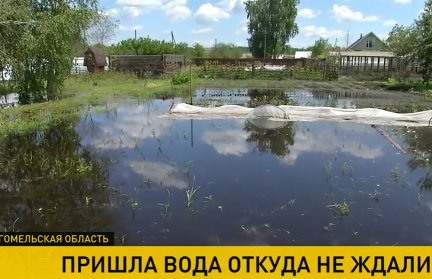 Под Гомелем огороды дачников затапливают грунтовые воды