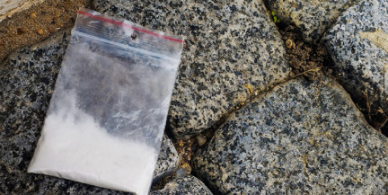 Двое иностранцев задержаны в Витебске с мефедроном: дело передано в суд