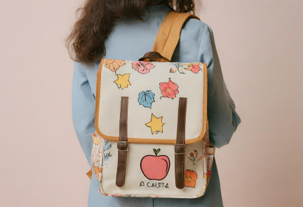 В Аргентине разбился самолет во время авиафестиваля – погибли пилоты