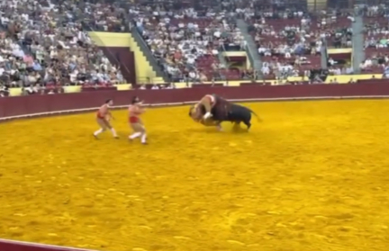 Смерть на арене: гигантский бык забодал молодого участника корриды