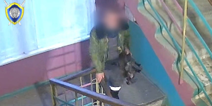 В Полоцком районе местный житель до смерти избил собаку матери