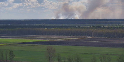 В 4 км от границы с Беларусью со стороны Украины вспыхнул верховой пожар