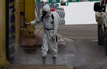 В Англии сообщили о резком росте числа случаев лихорадки чикунгунья