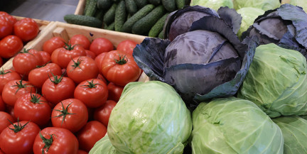 В гродненских магазинах нашли нарушения при продаже овощей и фруктов – Госконтроль