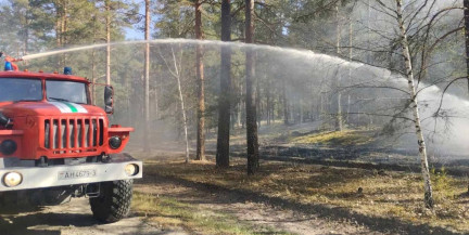 В Глусском и Лельчицком лесхозах пожары – их вызвал обрыв линий электропередачи из-за сильного ветра