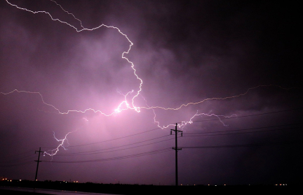 Во французском зоопарке 13 человек пострадали в результате удара молнии