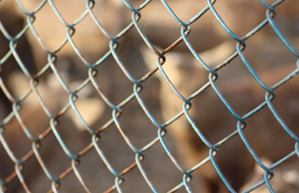 14‑летний школьник в Китае получил пожизненный срок за убийство одноклассницы