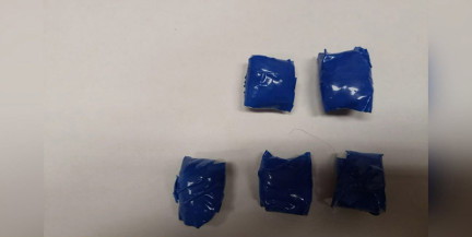 В Минске двух братьев задержали за распространение мефедрона