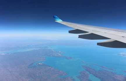 Самолет с Ургантом и Гудковым совершил экстренную посадку в Мюнхене