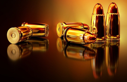 В Грузии изъяли взрывчатку и оружие, предназначенные для диверсии в день выборов