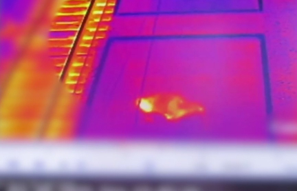 МВД Литвы: задержанный в Беларуси американец не связан с пропавшими на учениях военными