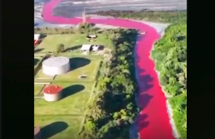 В пригороде Буэнос-Айреса появилась «кровавая река»