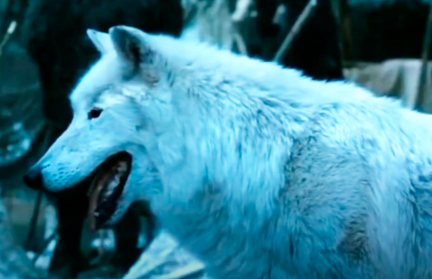 В США возродили «лютоволков» из «Игры престолов»