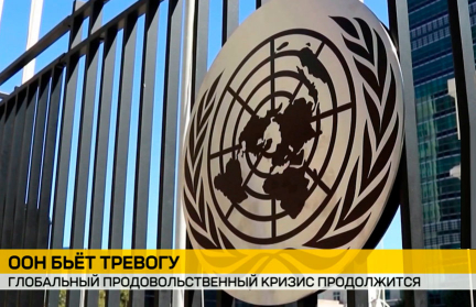ООН: глобальный продовольственный кризис продолжится