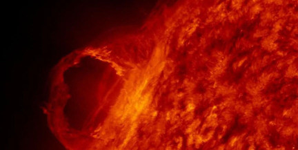 До 10 мощных вспышек на Солнце могут произойти в 2026 году