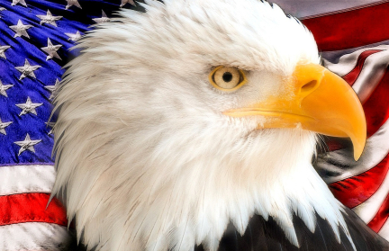 В Пентагоне призвали генералов и адмиралов США быть готовыми к войне