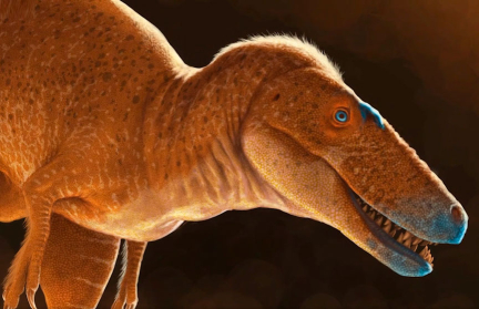 Ученые обнаружили ранее неизвестный вид тираннозавра