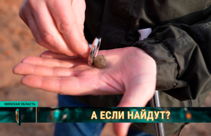Специалисты и волонтеры ищут под Минском упавший метеорит: в чем его ценность? Репортаж ОНТ