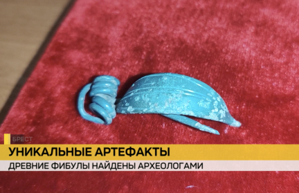 Уникальные древние артефакты найдены в Каменецком районе