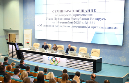 Более 500 участников обсудили в НОК Беларуси вопросы поддержки спортивных организаций