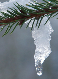 Поединок зимы и весны: прогноз погоды на 24-28 февраля