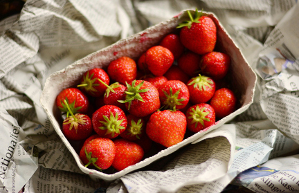 Памятник клубнике может появиться в Беларуси – где его установят?