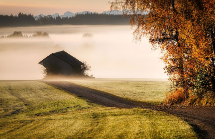 В Гомельской области стало на один населенный пункт меньше