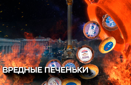 На что тратят западные гранты и чем на самом деле занимаются НПО и НГО