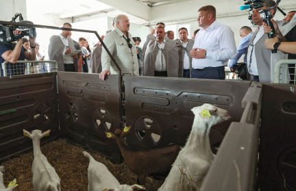 Зачем агропрому коза и как выполняются поручения Президента на Могилевщине – сюжет ОНТ