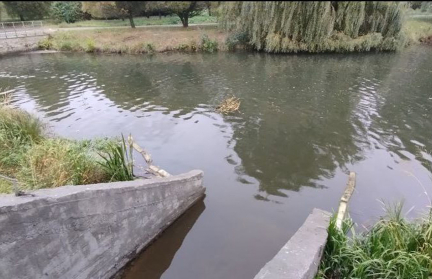 В Свислочь попали сточные воды: что известно, каковы причины и так ли это опасно
