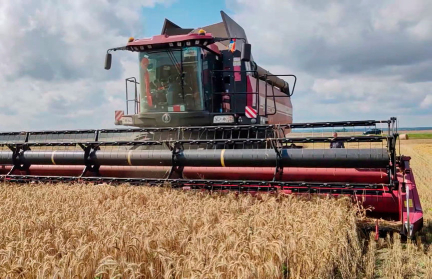 Сельхозпредприятия выдерживают темп: уборка идет с поправкой на погоду