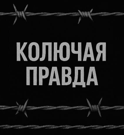 Колючая правда