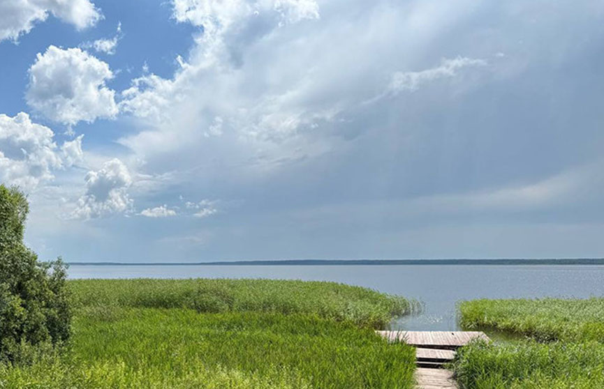 Фото: БЕЛТА