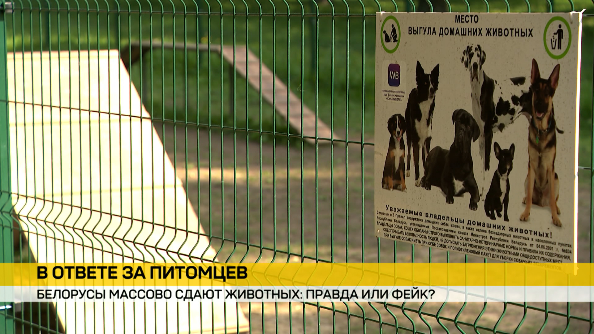 Полученные от выплат средства пойдут, в том числе, на строительство и благоустройство площадок для выгула 